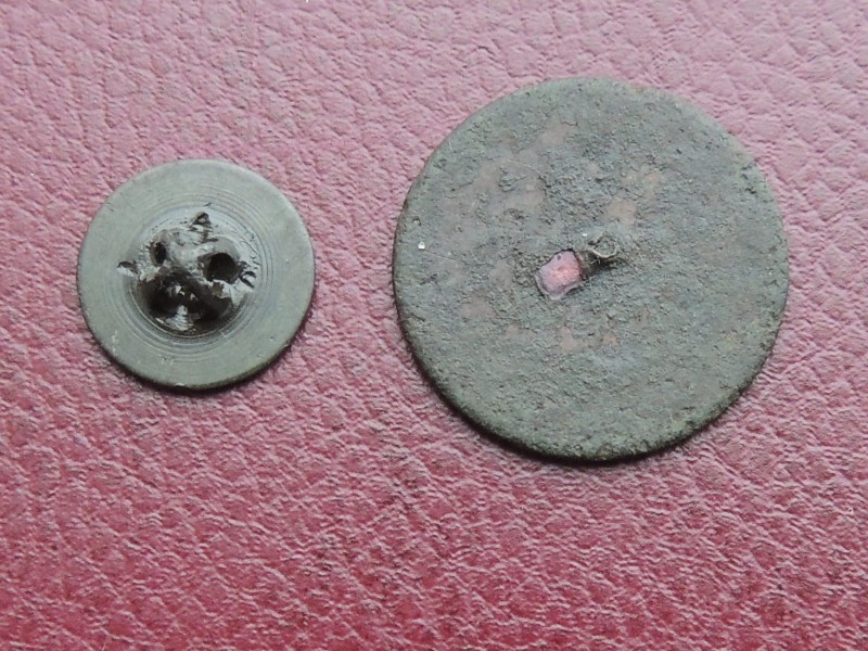 RSCN7884.JPG