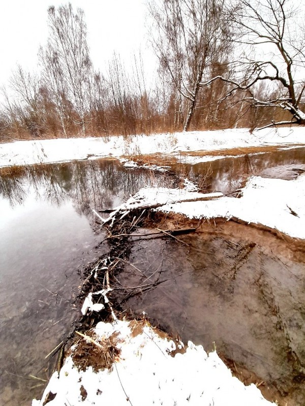 20230129_100547.jpg
