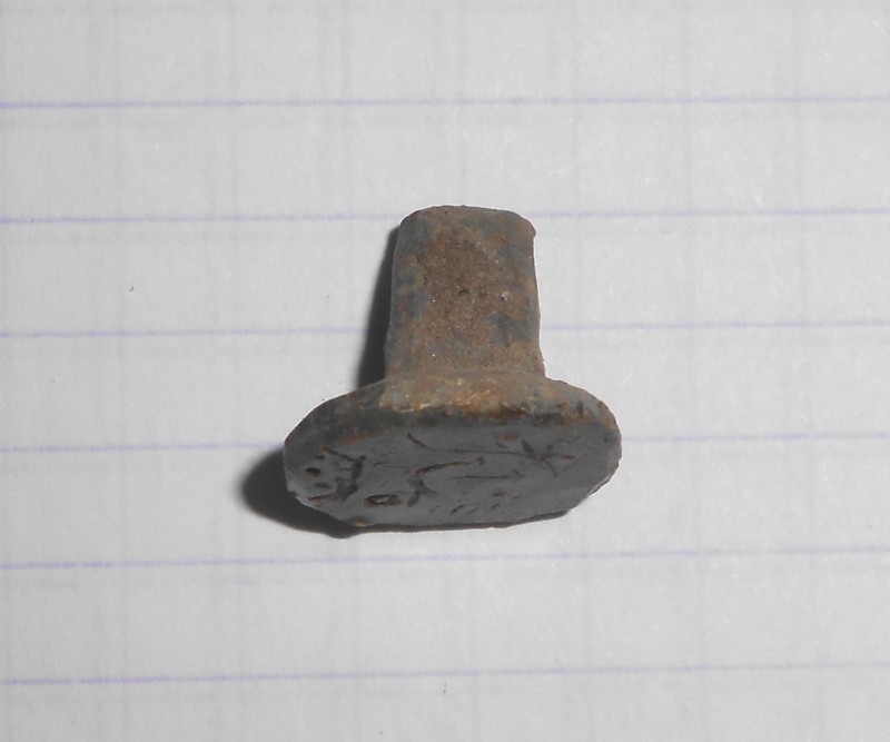 DSCN7926.JPG