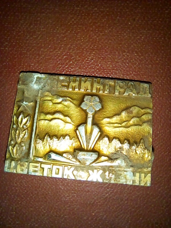 20230204_185438.jpg