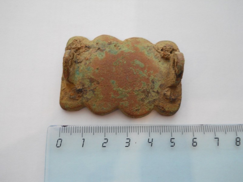 DSCN7901.JPG