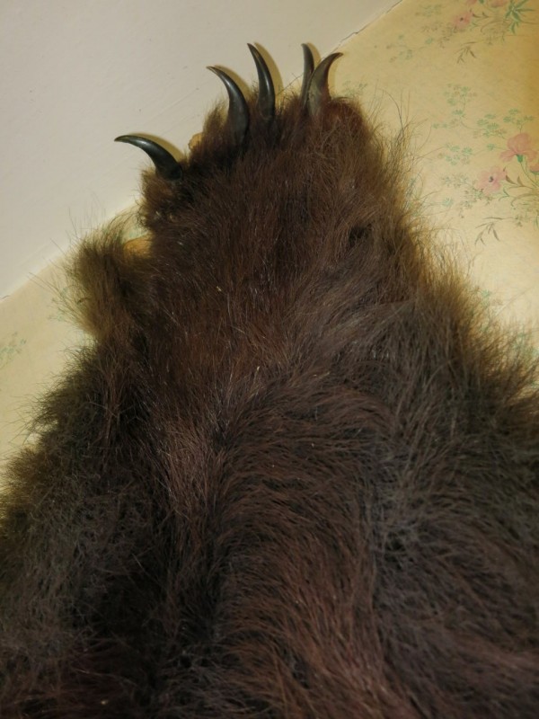 IMG-48ffa64b42be4116e1973d02c43cd4ae-V.jpg