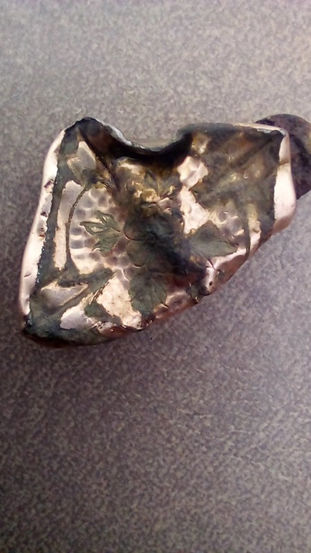 20230301_180800.jpg