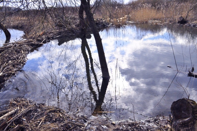 CSC_0120.JPG