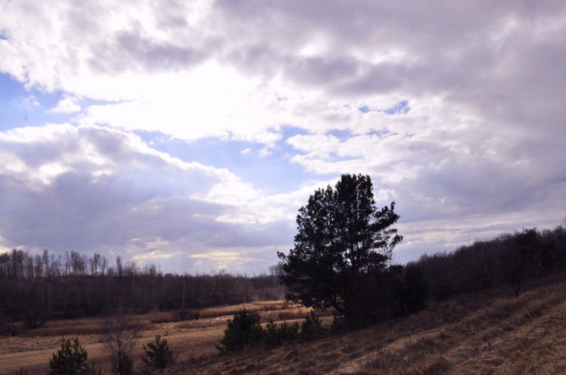 CSC_0130.JPG