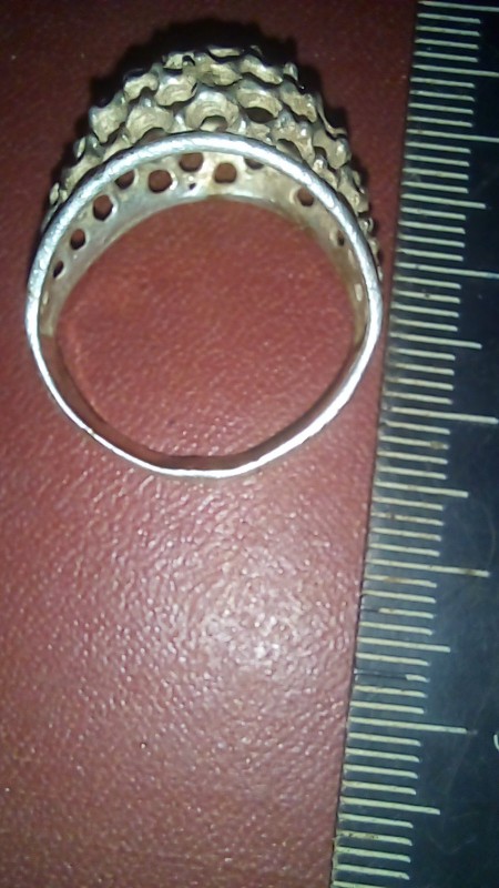 20230326_192524.jpg