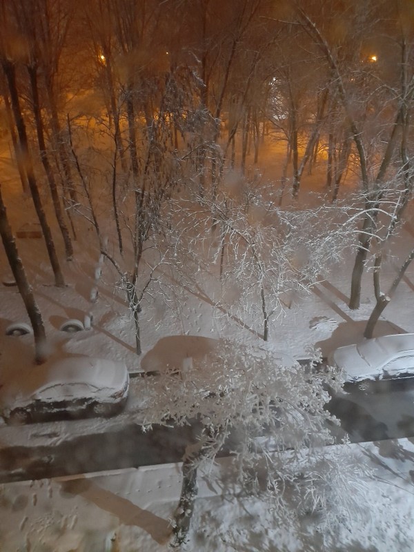 20230328_051139.jpg