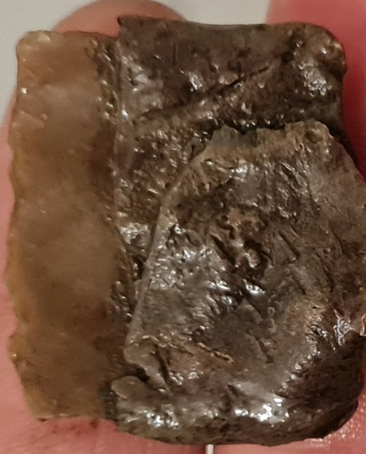 20230411_224242.jpg