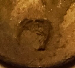 IMG_20230413_220606.jpg