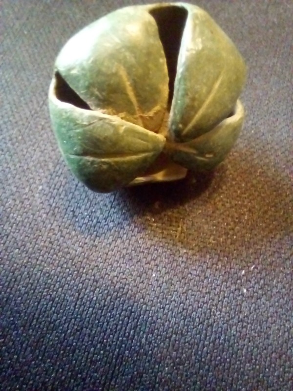 20220911_111936.jpg