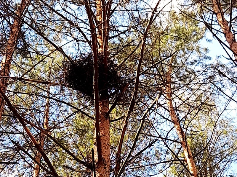 20230422_121919.jpg