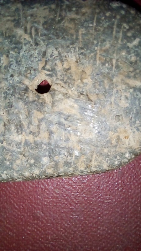20230509_204301.jpg