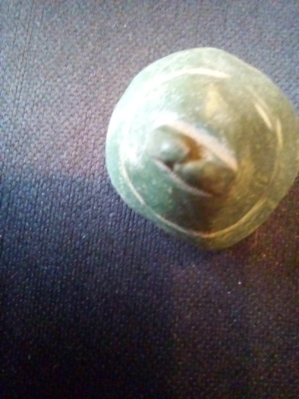 20220911_111929.jpg