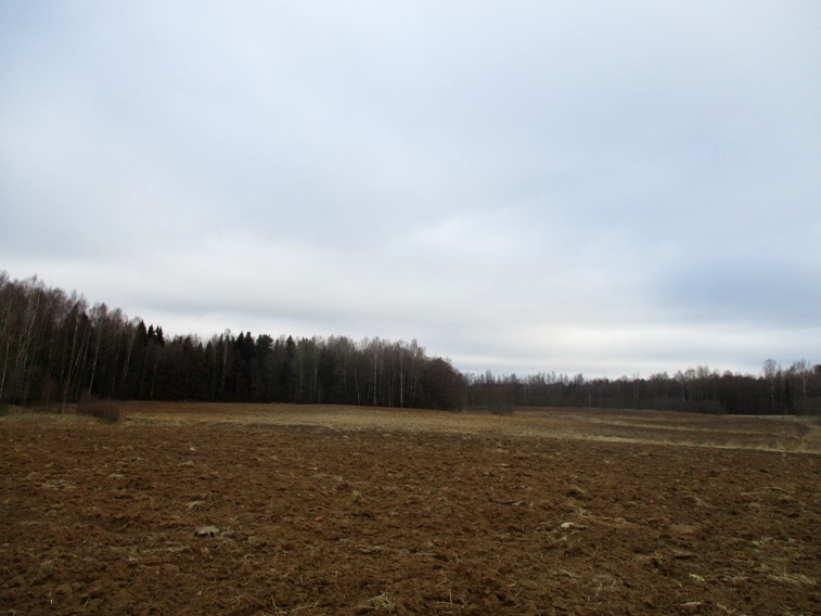 IMG_2273.JPG