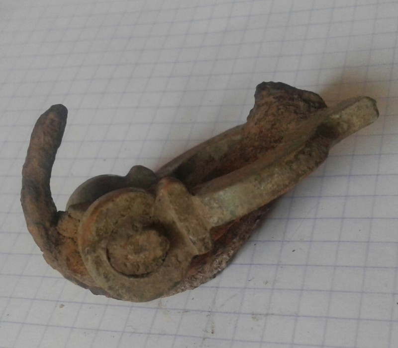 20190331_115258-1.jpg