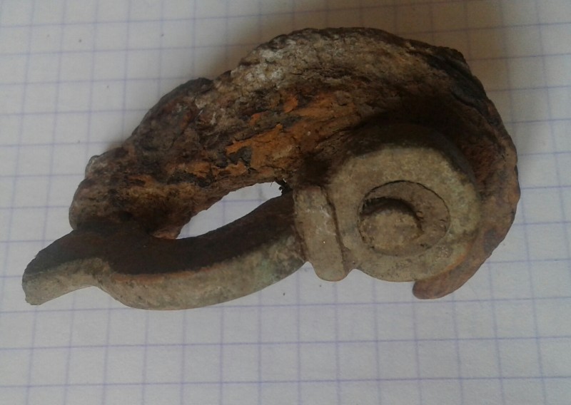20190331_115137-1.jpg