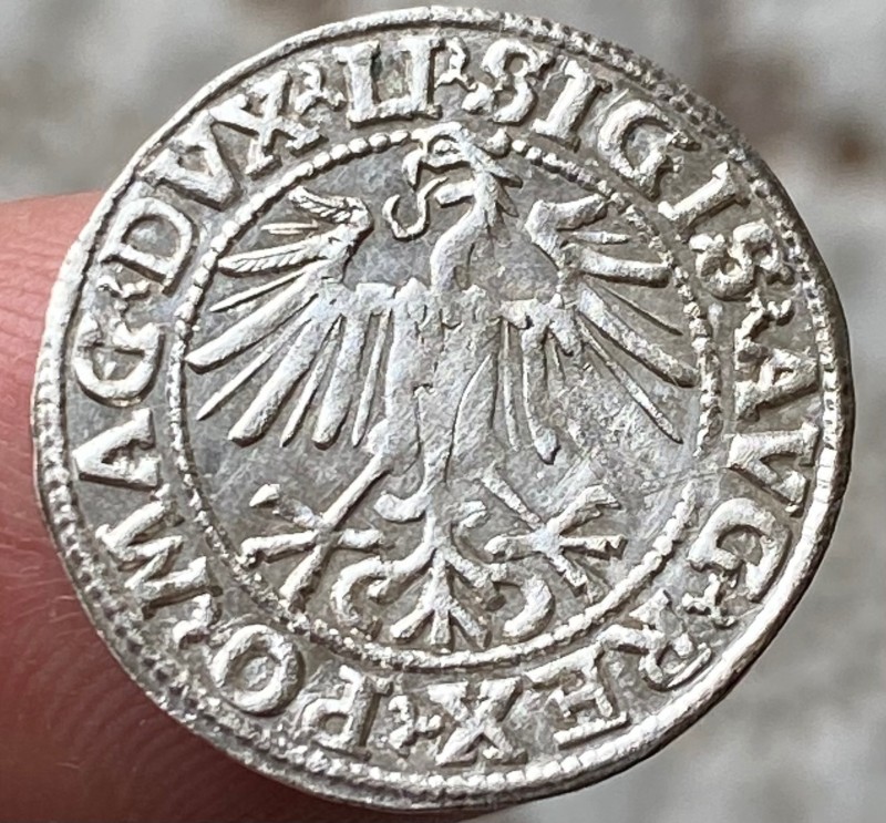 49
