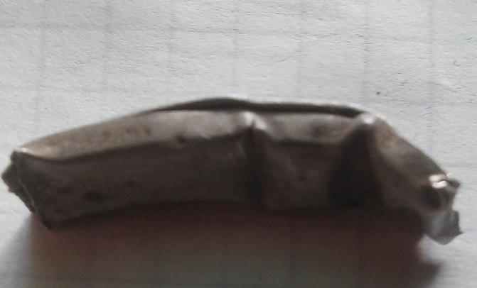 20190329_095232.jpg