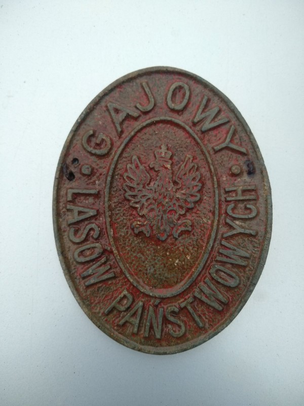 1690219008524.jpg