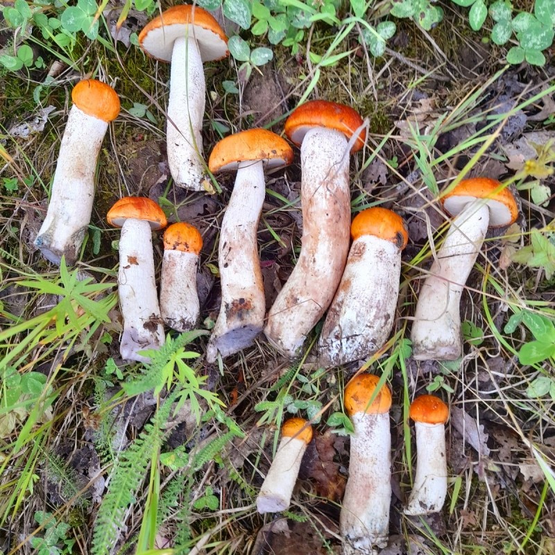 20230803_112521.jpg