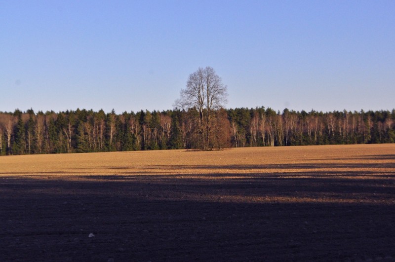CSC_0169.JPG