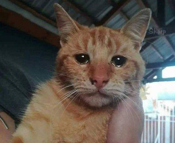 23696084.jpg