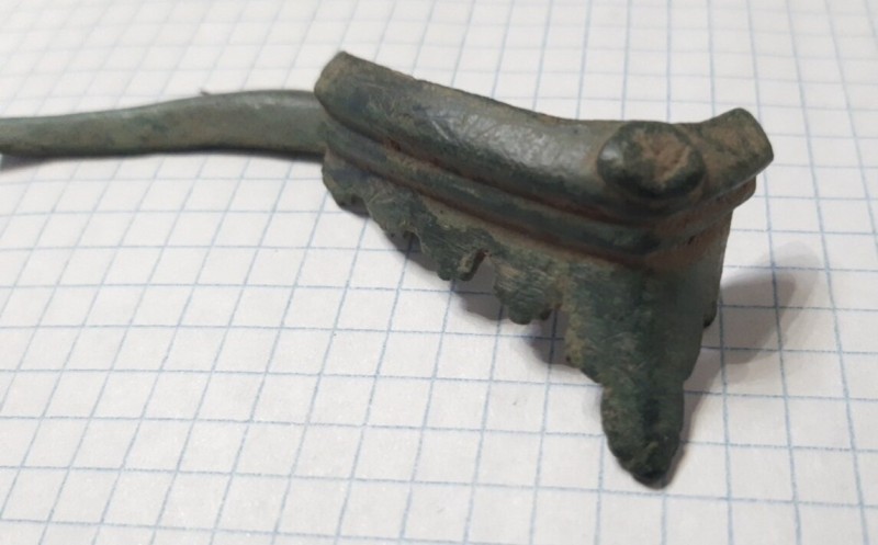 mir_20230902_205615.jpg