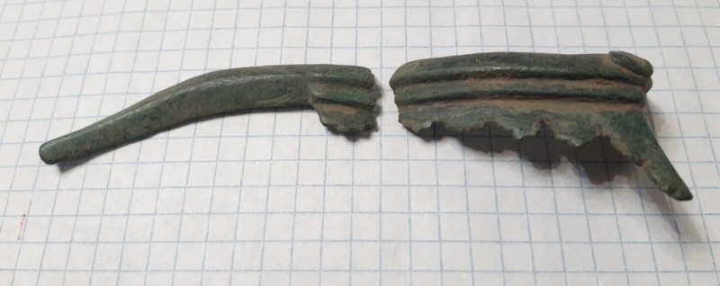 mir_20230902_205523.jpg