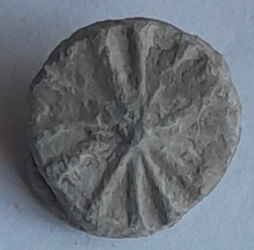 20230906_084119.jpg