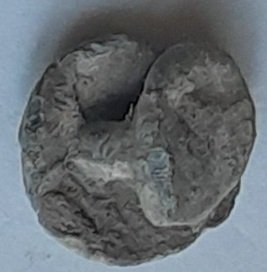 20230906_083934.jpg