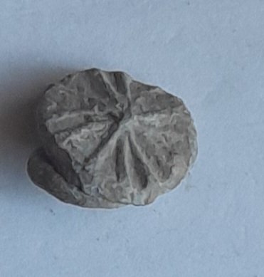 20230906_083917.jpg