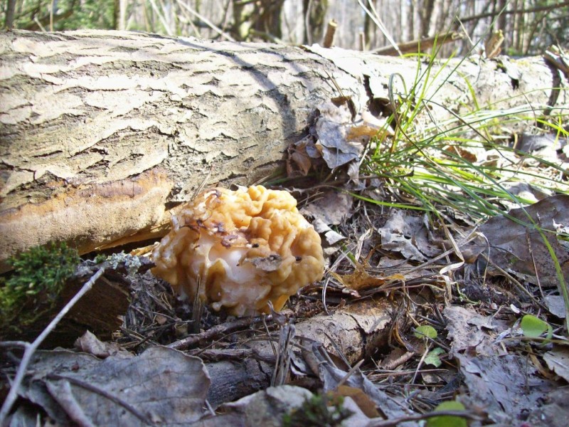 103_0033.JPG