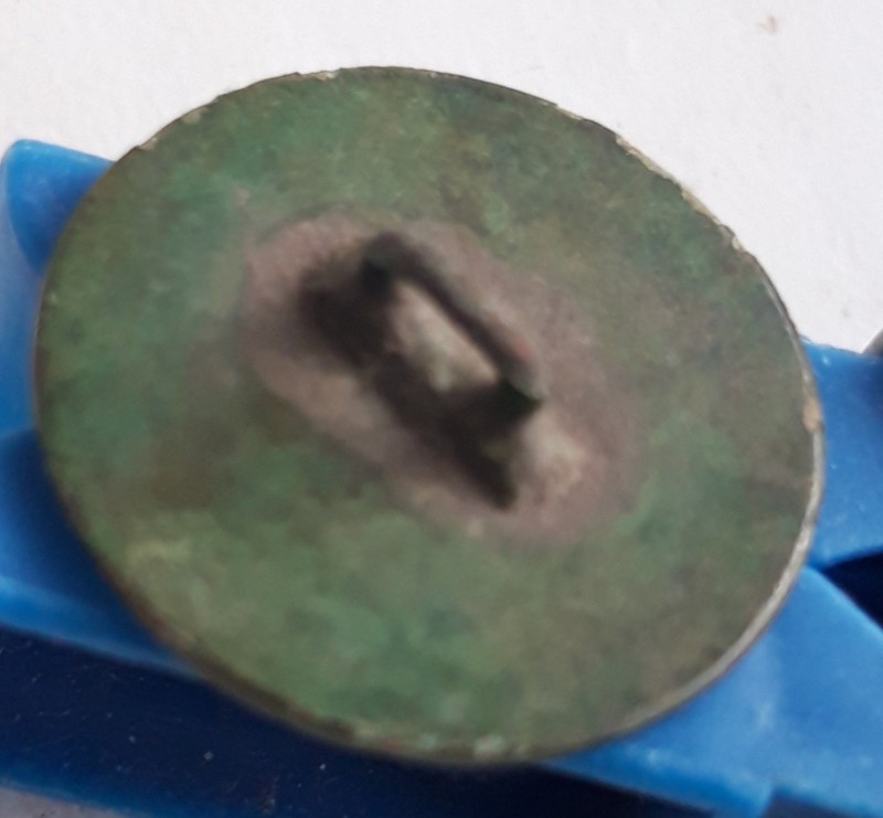 1695884504913[1].jpg