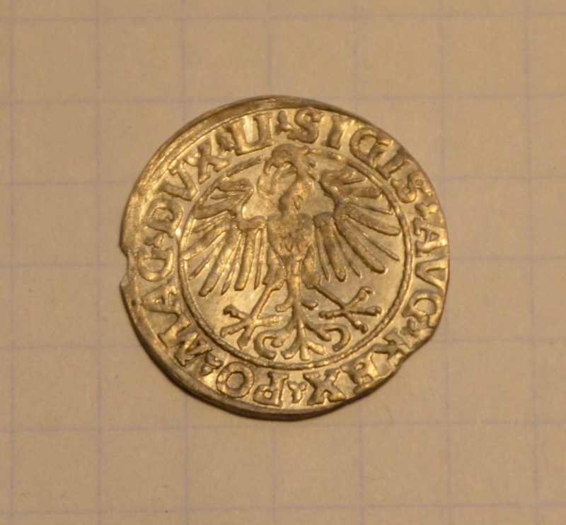DSC_4037.JPG
