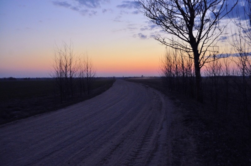 CSC_0223.JPG