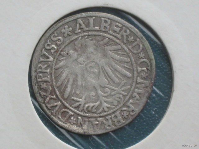 5035046252_2.jpg