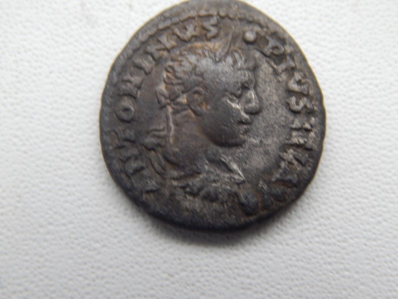 DSCN3719.JPG