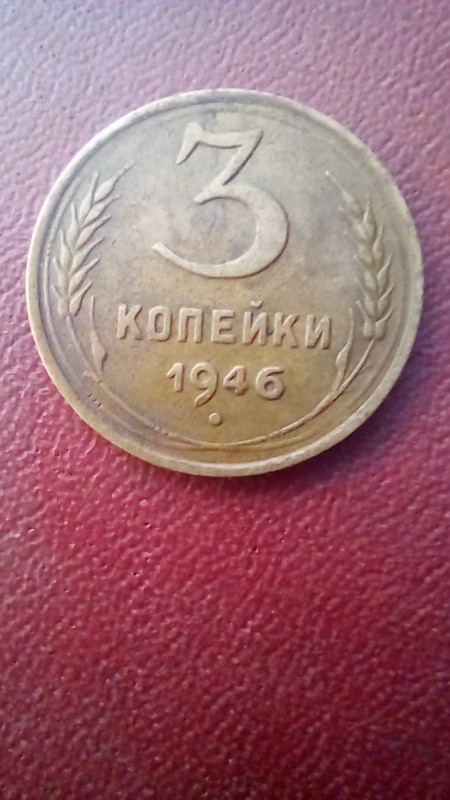 20231008_184029.jpg