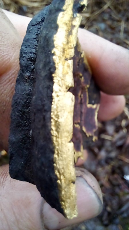 20231217_150711.jpg