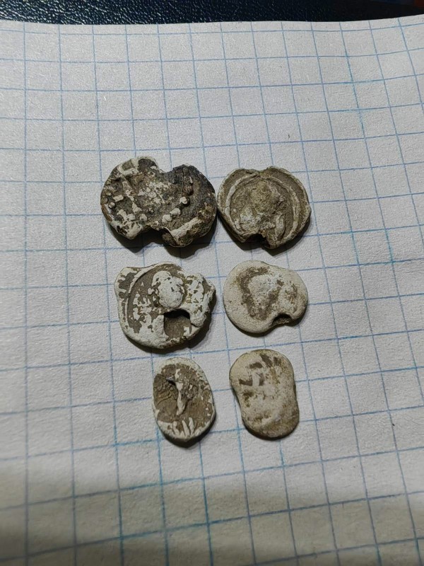 1703618792858.jpg