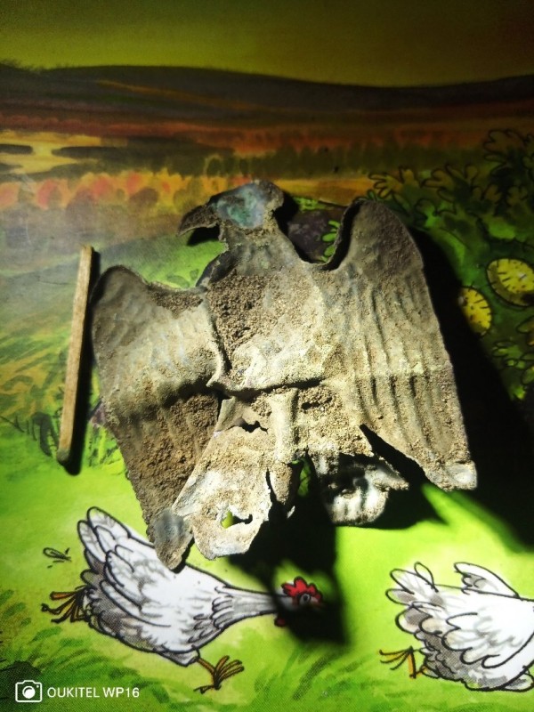IMG_20240101_201154_325.jpg