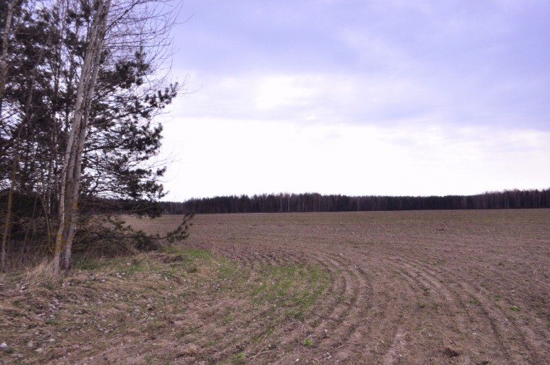 CSC_0273.JPG