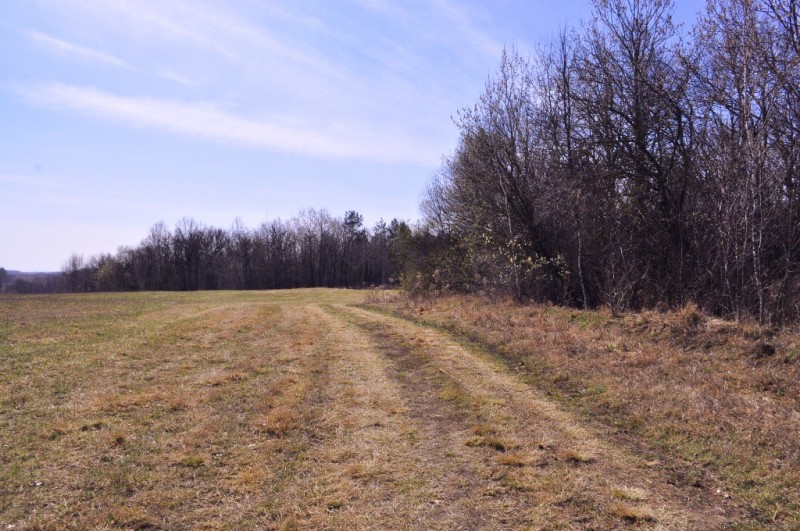CSC_0275.JPG