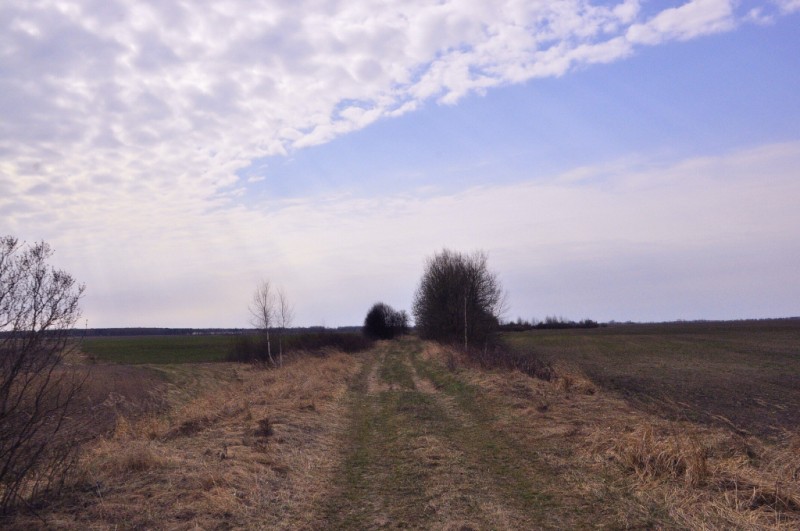 CSC_0285.JPG