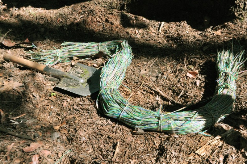 CSC_0286.JPG