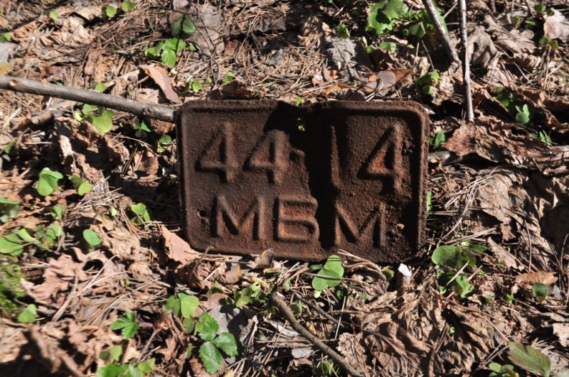 CSC_0289.JPG
