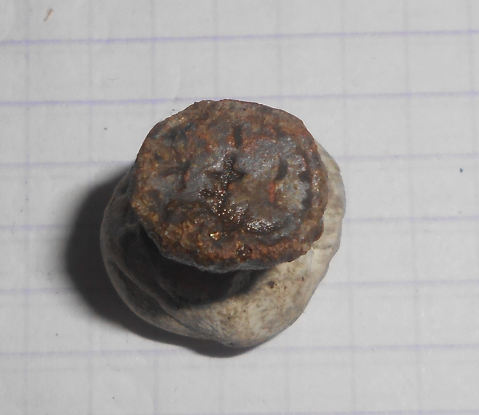 DSCN8051.JPG