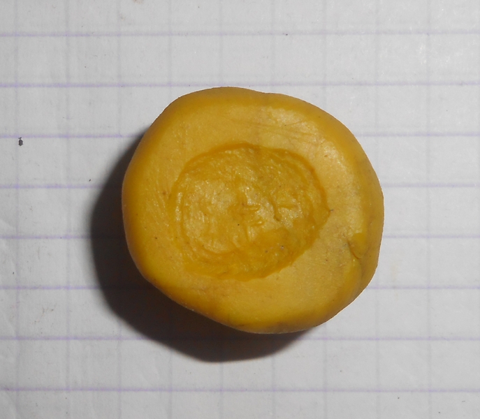 DSCN8065.JPG