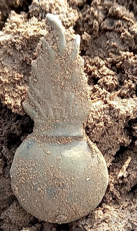 20240302_115621.jpg