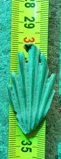 Image_2024_04_01_15_16_50.png